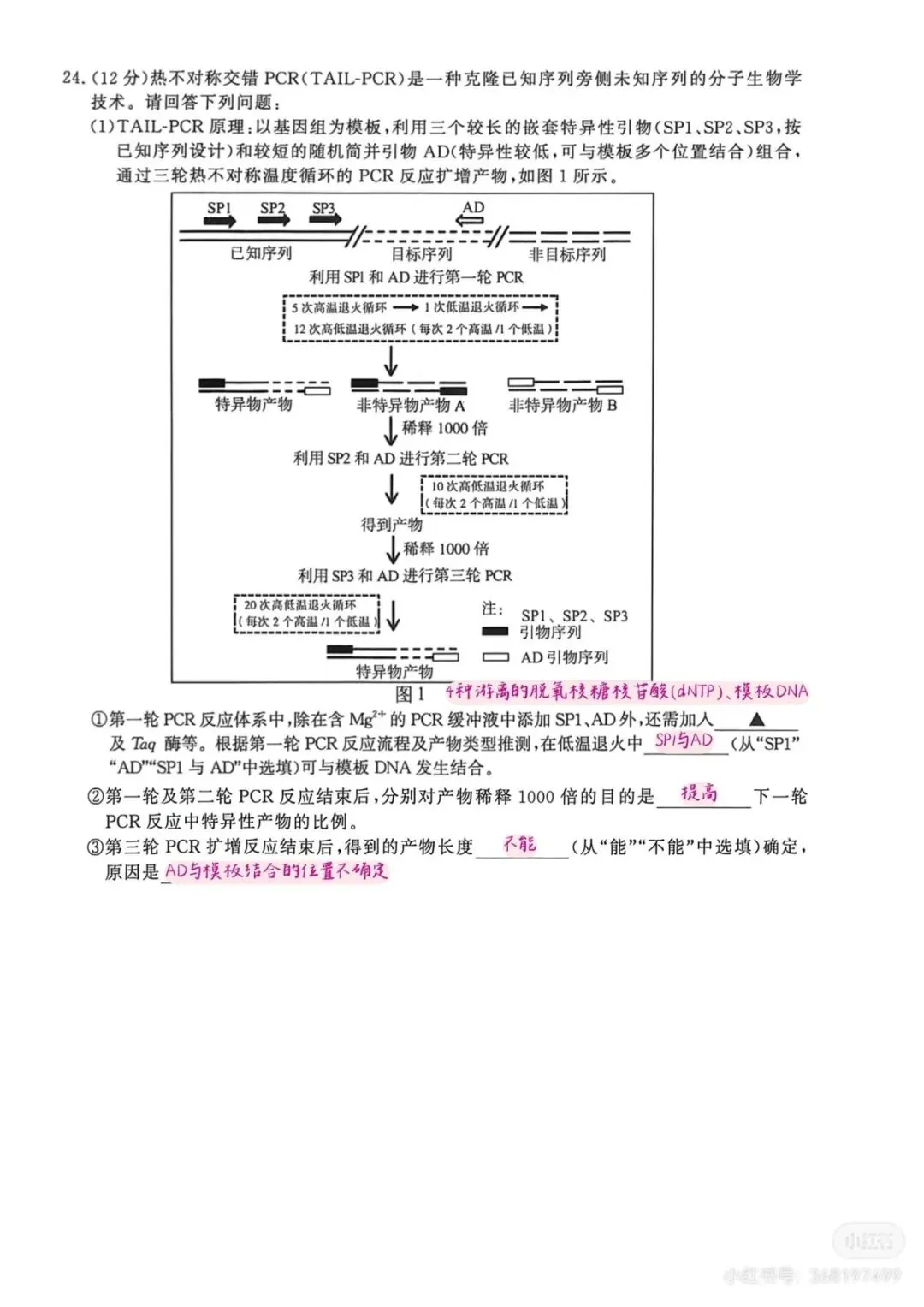 2026年南京高三第二次模拟考试生物试卷详细解析 第17张