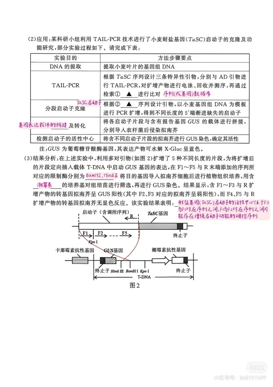 2026年南京高三第二次模拟考试生物试卷详细解析 第18张