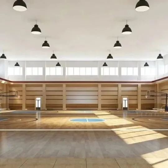 【中考】2026年中考广州将新增4所公办高中!大量学位增加!来看看学校怎么样 第13张
