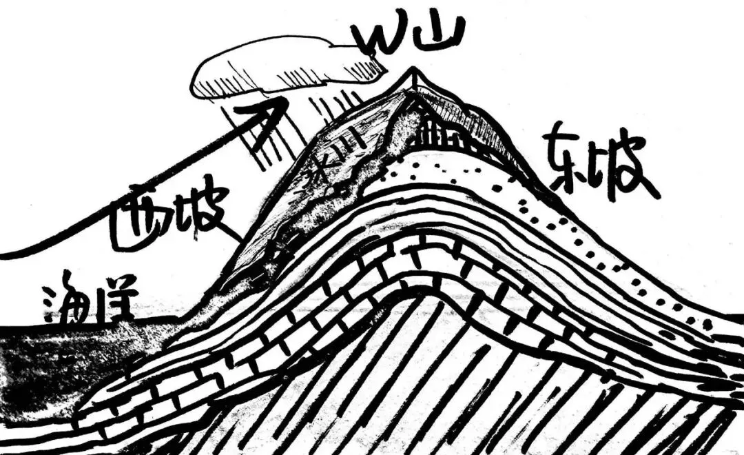 【备考思路】谁见过2025江西地理真题卷8、9、10三道选择题的“真容”? 第6张