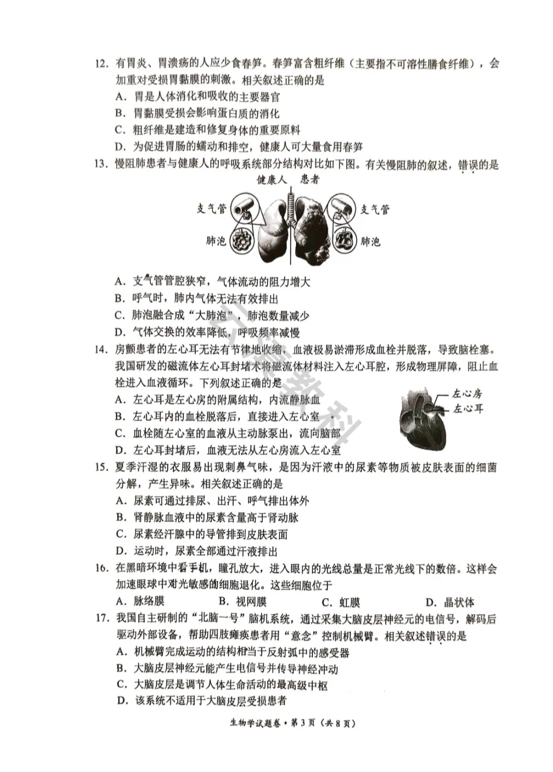 2026年官渡区初中二模试卷(全) 第29张