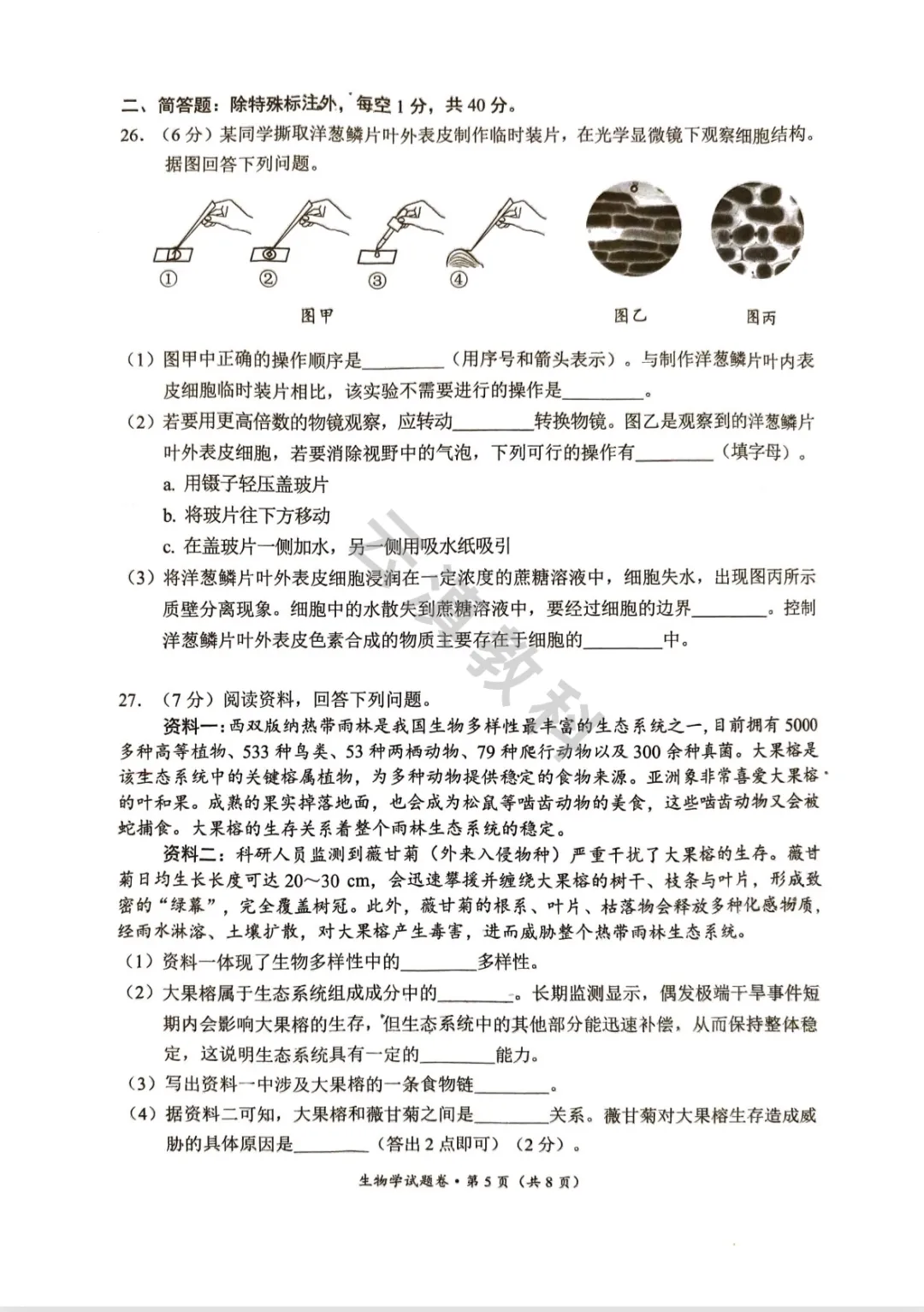 2026年官渡区初中二模试卷(全) 第31张