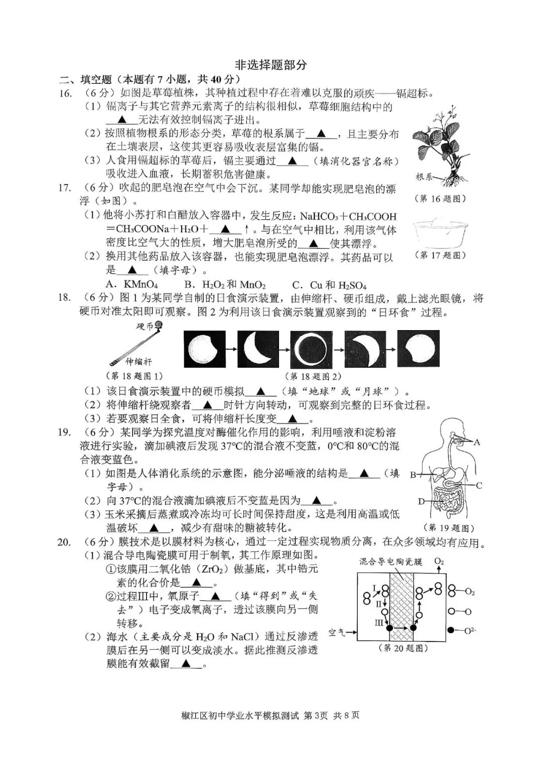 中考二模|2026年5月浙江省温州龙湾区、温州瑞安市、台州路桥区、台州椒江区二模·全科试题(含答案) 第45张