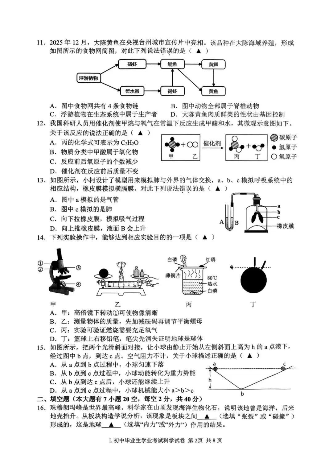 中考二模|2026年5月浙江省温州龙湾区、温州瑞安市、台州路桥区、台州椒江区二模·全科试题(含答案) 第73张