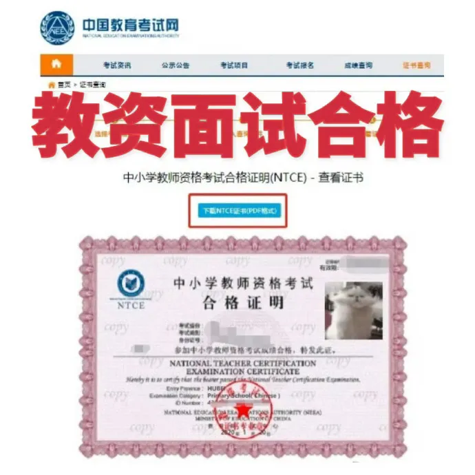 2026年上半年教资面试试讲学科真题+中小幼结构化真题答案解析! 第40张