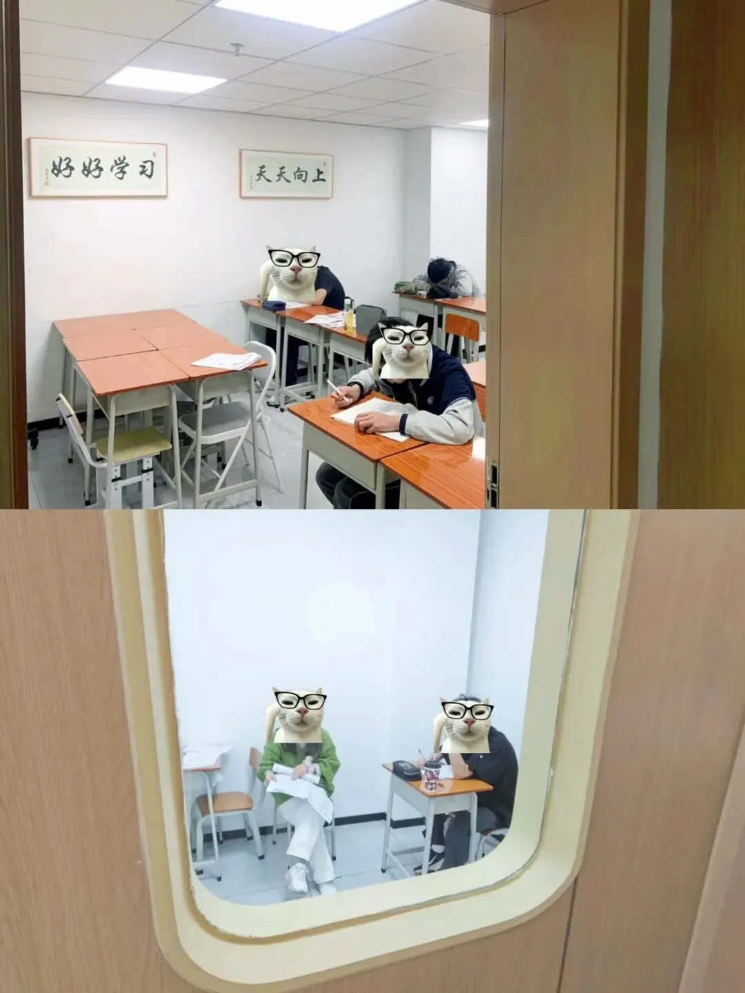 中考倒计时30天,杭州家长全托和一对一如何选择? 第5张