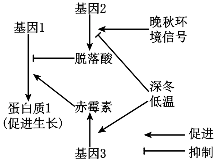 辽宁省实验中学2026年4月高考模拟考试生物学 第9张