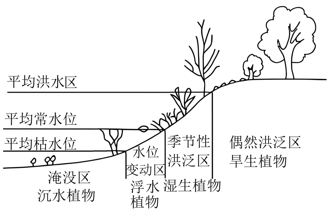 辽宁省实验中学2026年4月高考模拟考试生物学 第10张