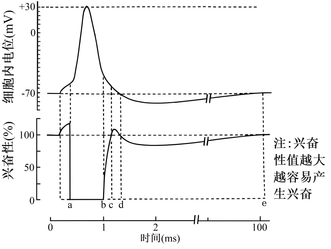 辽宁省实验中学2026年4月高考模拟考试生物学 第12张