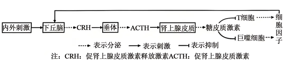 辽宁省实验中学2026年4月高考模拟考试生物学 第15张