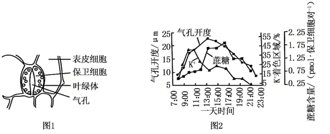 辽宁省实验中学2026年4月高考模拟考试生物学 第16张