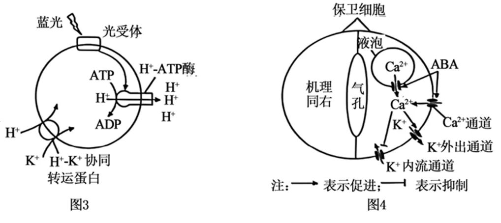 辽宁省实验中学2026年4月高考模拟考试生物学 第17张