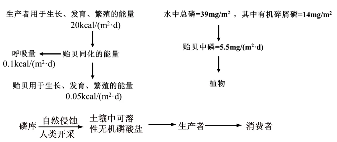 辽宁省实验中学2026年4月高考模拟考试生物学 第18张