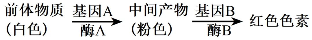 辽宁省实验中学2026年4月高考模拟考试生物学 第21张