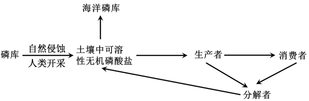 辽宁省实验中学2026年4月高考模拟考试生物学 第23张