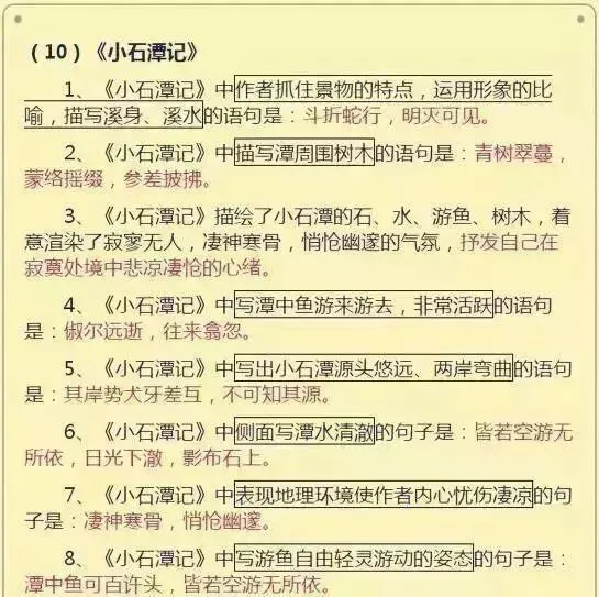中考语文必知!这些成语你用对了吗? 第13张