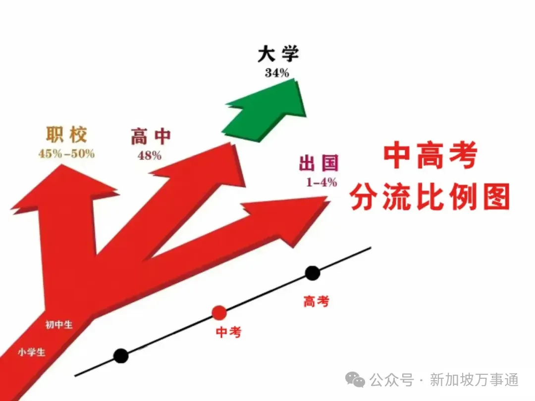 15岁中考失利…来到新加坡后我的人生开了挂! 第3张