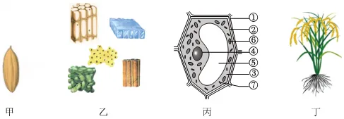 中考生物热点题型主题情境题(又称情境组选题)模拟 第1张