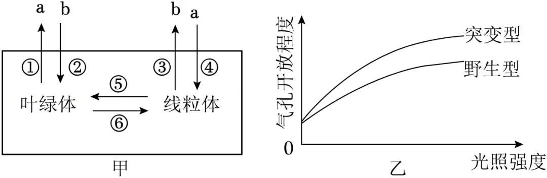 中考生物热点题型主题情境题(又称情境组选题)模拟 第3张