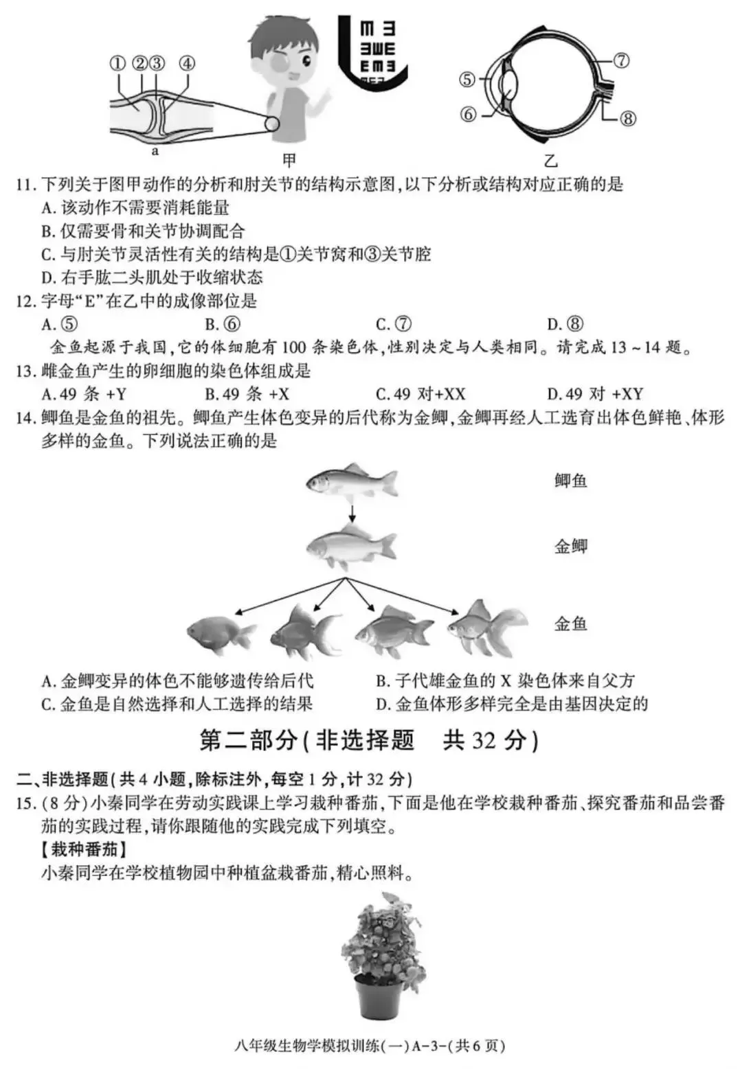 2026陕西初中学业水平考试生物模拟试卷 (含答案)-第4张图片-四季读书网