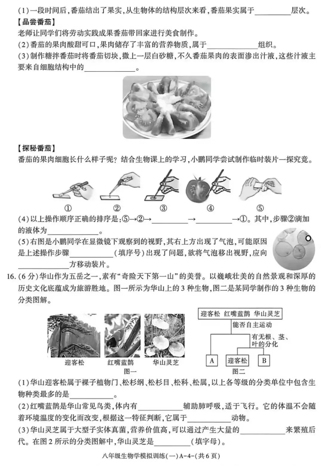 2026陕西初中学业水平考试生物模拟试卷 (含答案)-第5张图片-四季读书网