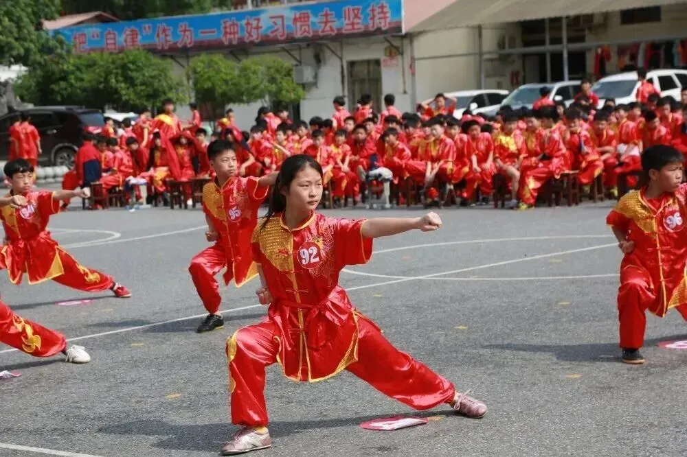 以武强身,以文润心:新化县武术进校园及中考赋分的合规性探讨 第2张