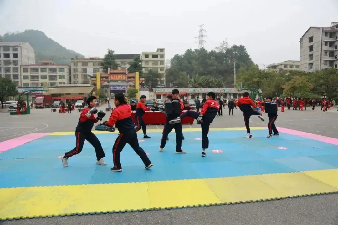 以武强身,以文润心:新化县武术进校园及中考赋分的合规性探讨 第7张