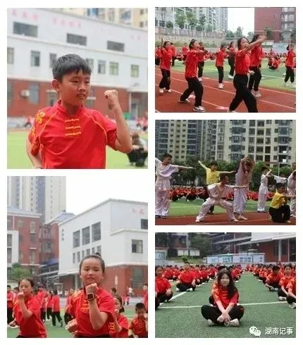 以武强身,以文润心:新化县武术进校园及中考赋分的合规性探讨 第8张