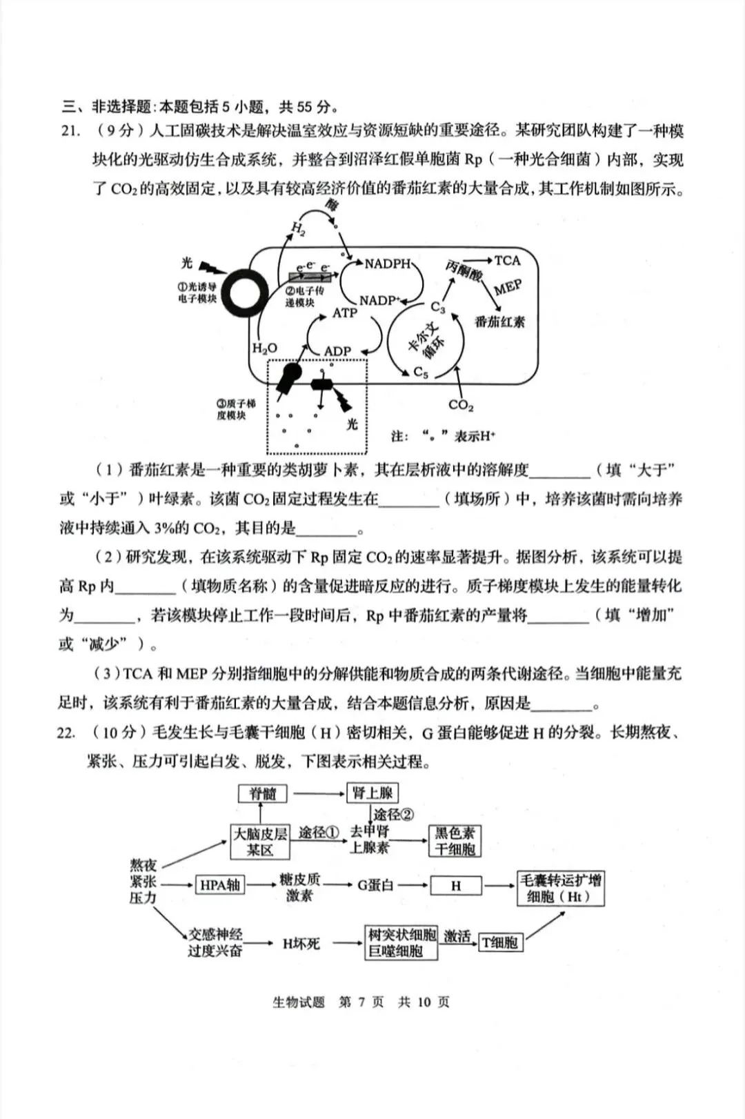 山东青岛市2026年高三二模生物学试卷和参考答案 第7张