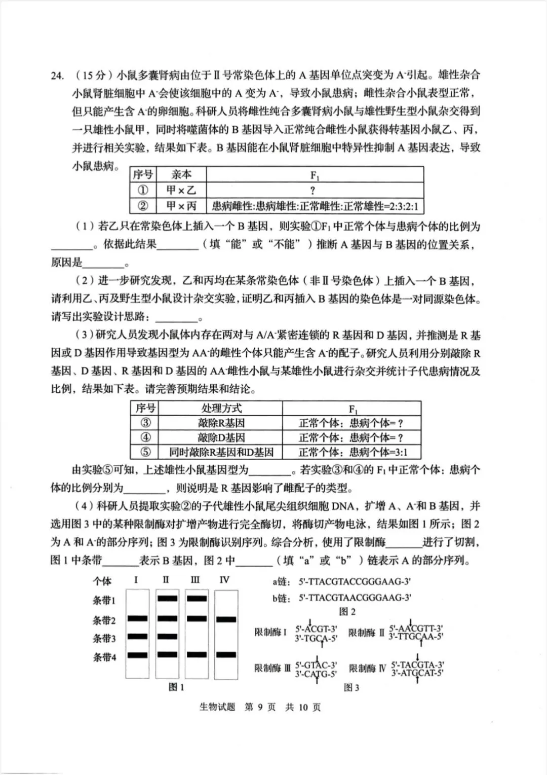 山东青岛市2026年高三二模生物学试卷和参考答案 第9张