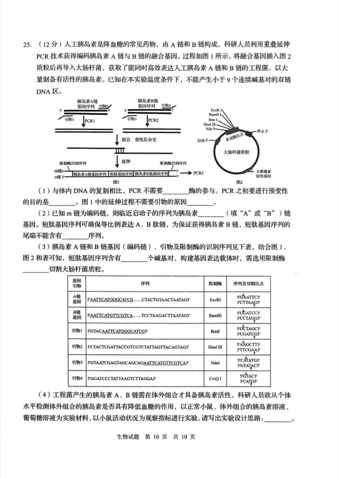 山东青岛市2026年高三二模生物学试卷和参考答案 第10张