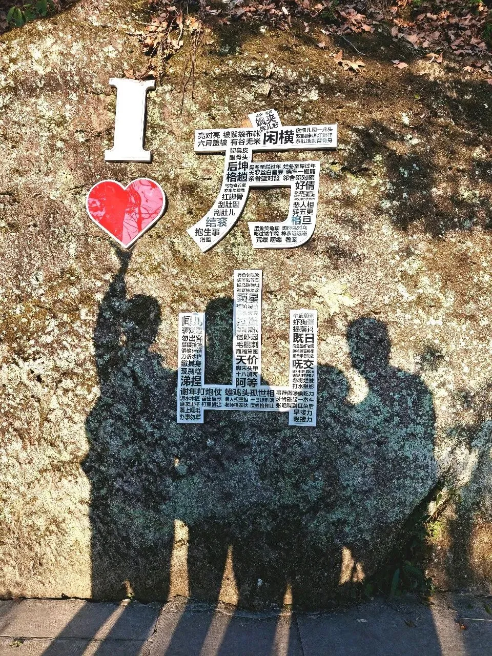 家有读书娃,即将中考 第1张