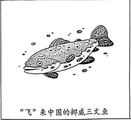 2026年中考道德与法治模拟考试(五十九)试题及参考答案(2026.4北京陈经伦中学模拟) 第3张