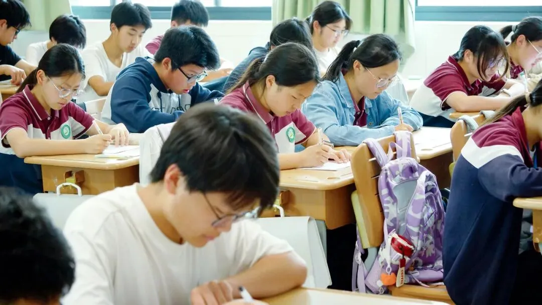 聚焦中考专题复习 深研素养测评转型 ——苏州高新区初中语文青年教师成长营研修活动成功举行 第12张