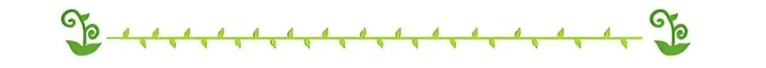 告诉孩子:一模只是“照镜子”,中考才是“交答卷” 第4张