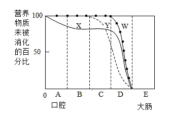 2026年中考生物实验题强化题库60题 第7张