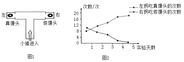 2026年中考生物实验题强化题库60题 第9张
