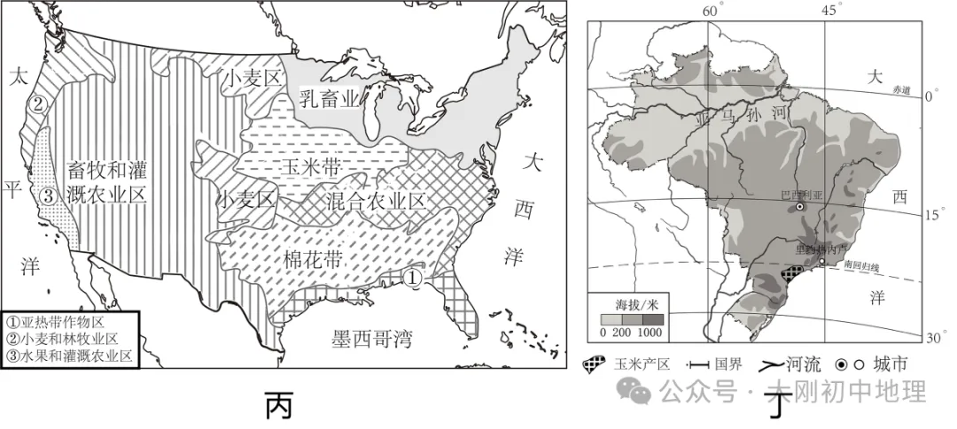中考冲刺卷共四套助力中考限时优惠(附赠材料题答题模板)-第19张图片-四季读书网 中考冲刺卷共四套助力中考限时优惠(附赠材料题答题模板)-第19张图片-四季读书网