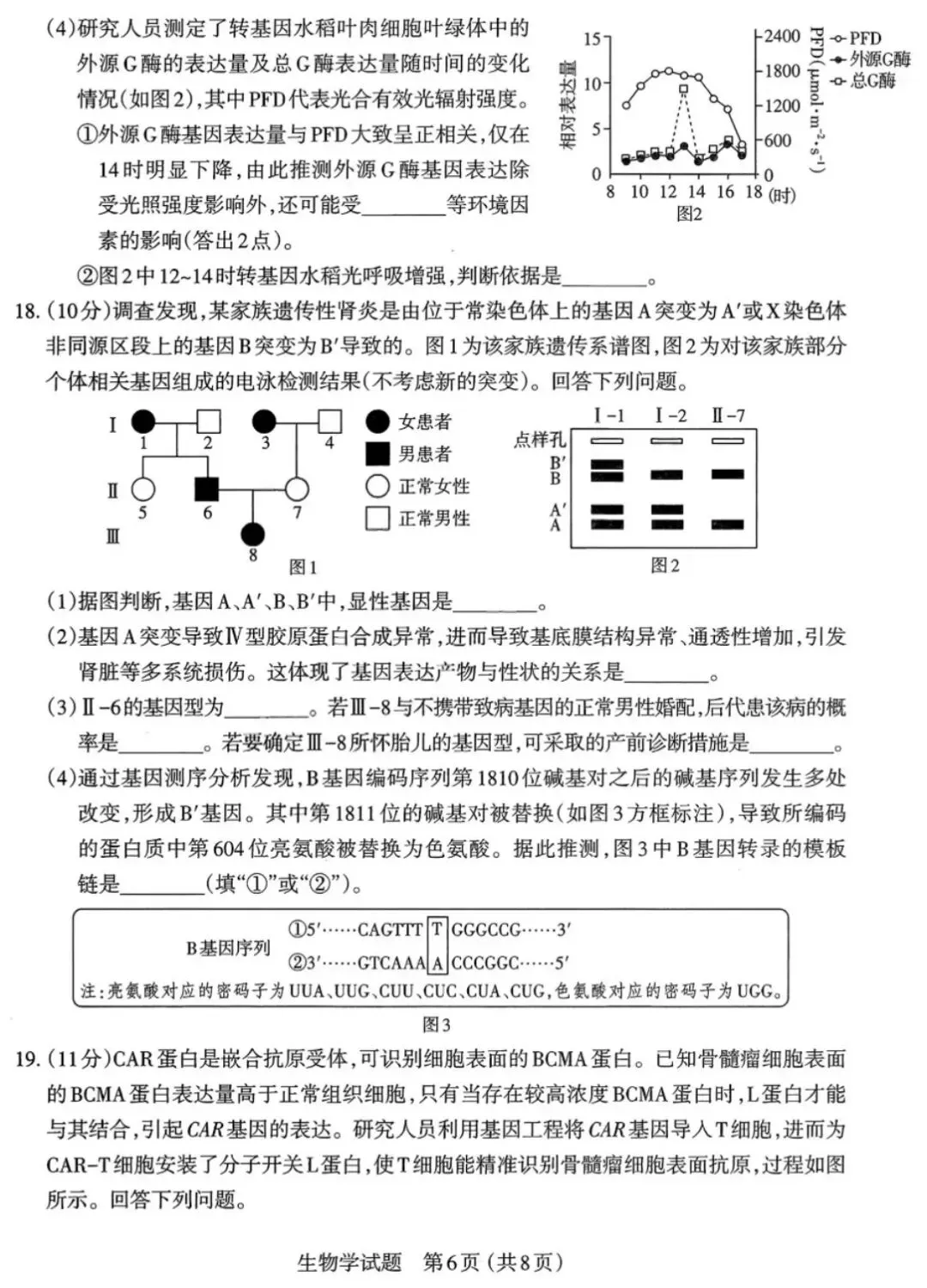 【高中生物】高三冲刺生物模拟试卷(2) 第7张