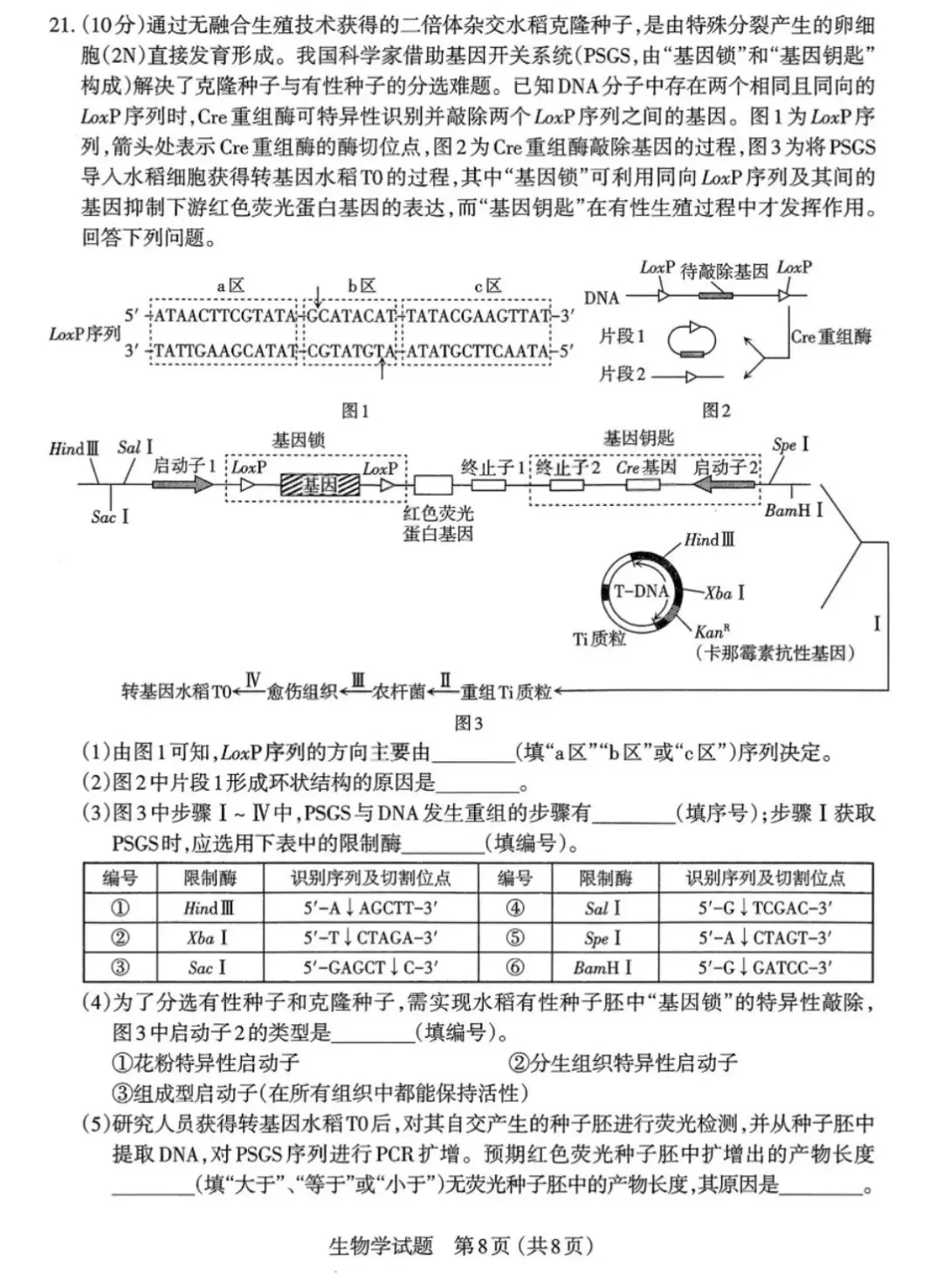 【高中生物】高三冲刺生物模拟试卷(2) 第9张