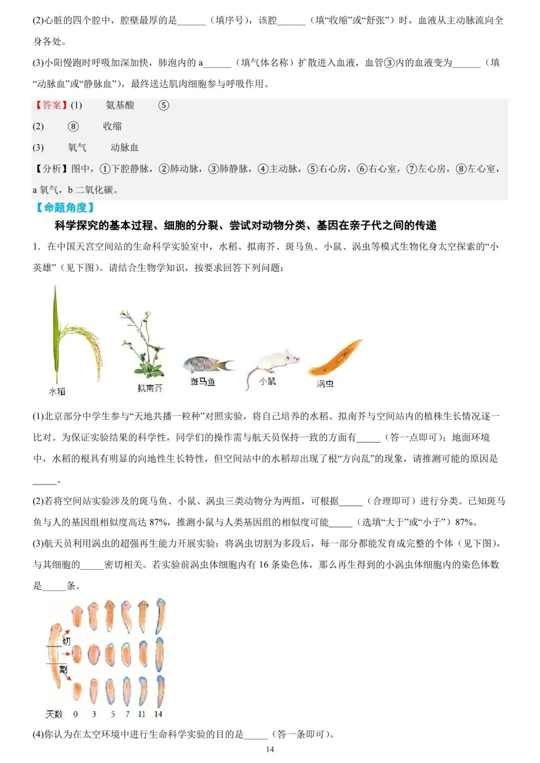 2026年中考生物时事热点终极押题汇总 第14张 2026年中考生物时事热点终极押题汇总 第14张