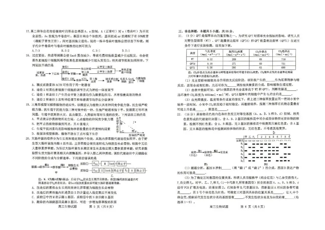 【烟台二模】烟台市2026届高三第二次模拟考试-生物 第4张