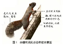 2026年中考生物资料分析题强化题库60题1 第20张