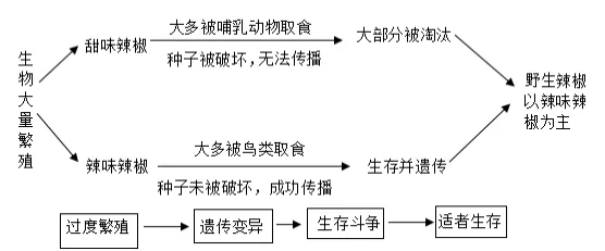 2026年中考生物资料分析题强化题库60题1 第55张