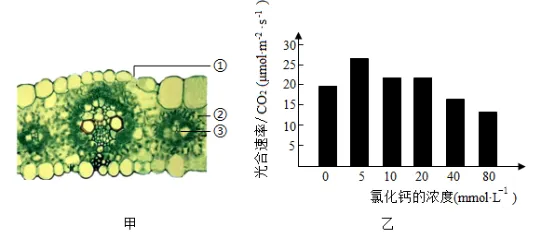 2026年中考生物资料分析题强化题库60题1 第57张