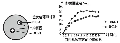2026年中考生物资料分析题强化题库60题1 第61张