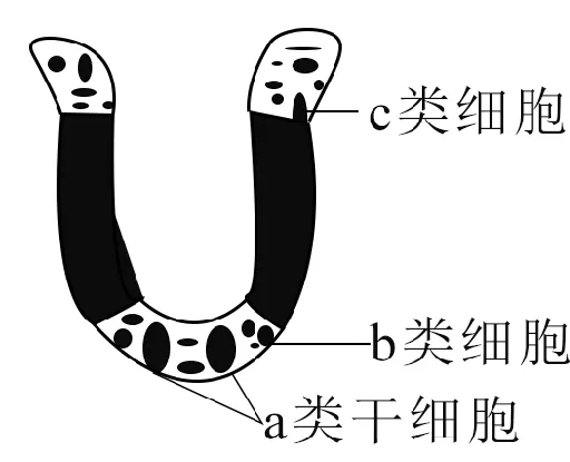 2025年江苏省高考生物学真题文字版和答案(附官方版下载) ⊙ 第8张