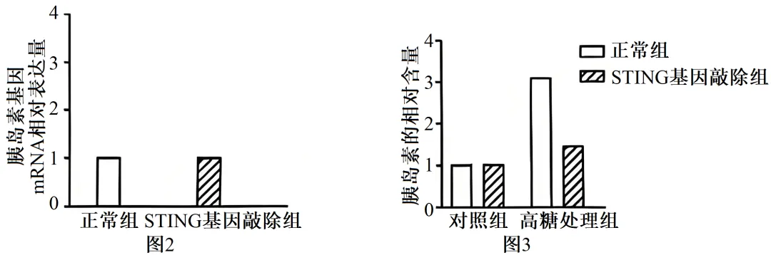 2025年江苏省高考生物学真题文字版和答案(附官方版下载) ⊙ 第20张