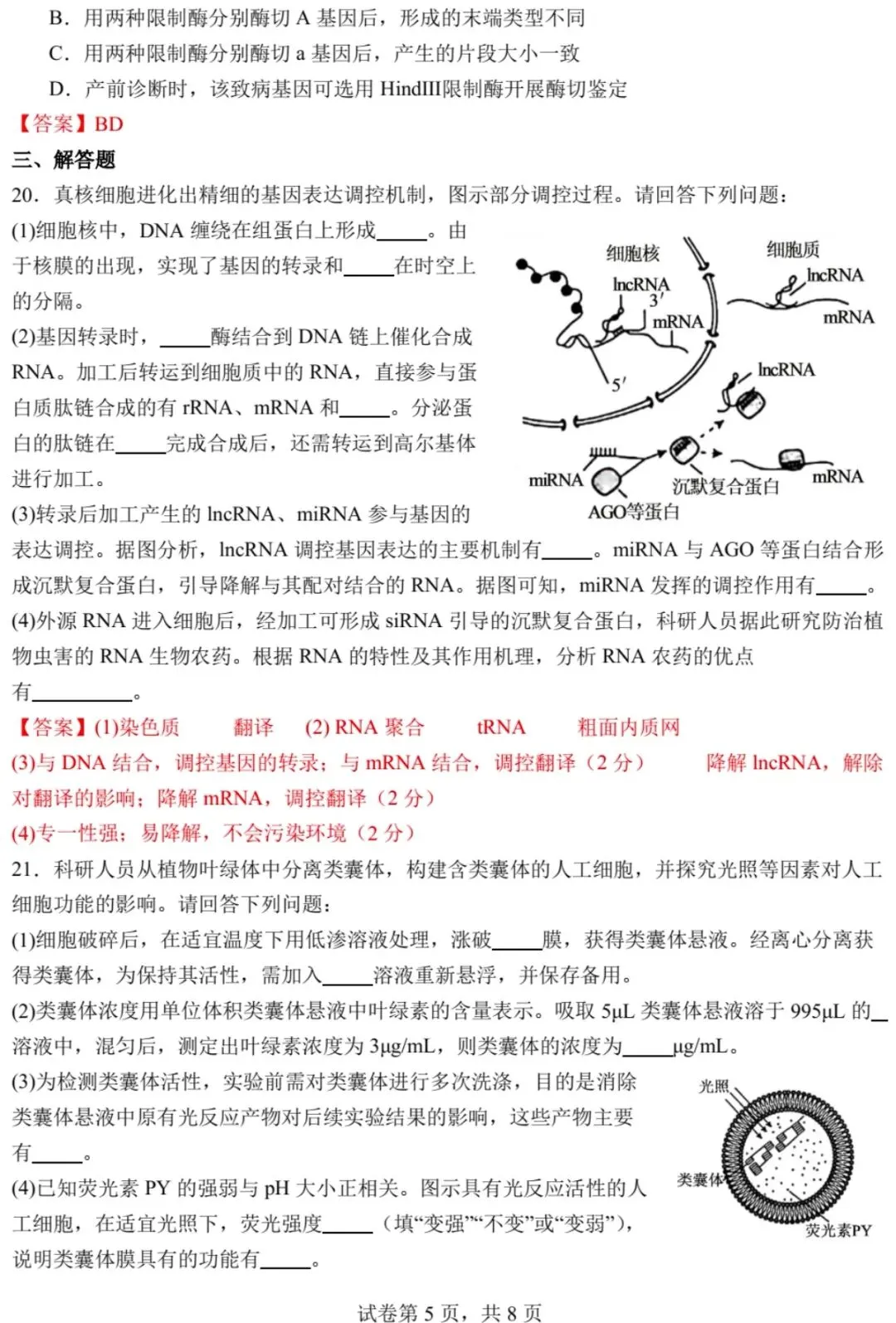 2025年江苏省高考生物学真题文字版和答案(附官方版下载) ⊙ 第28张