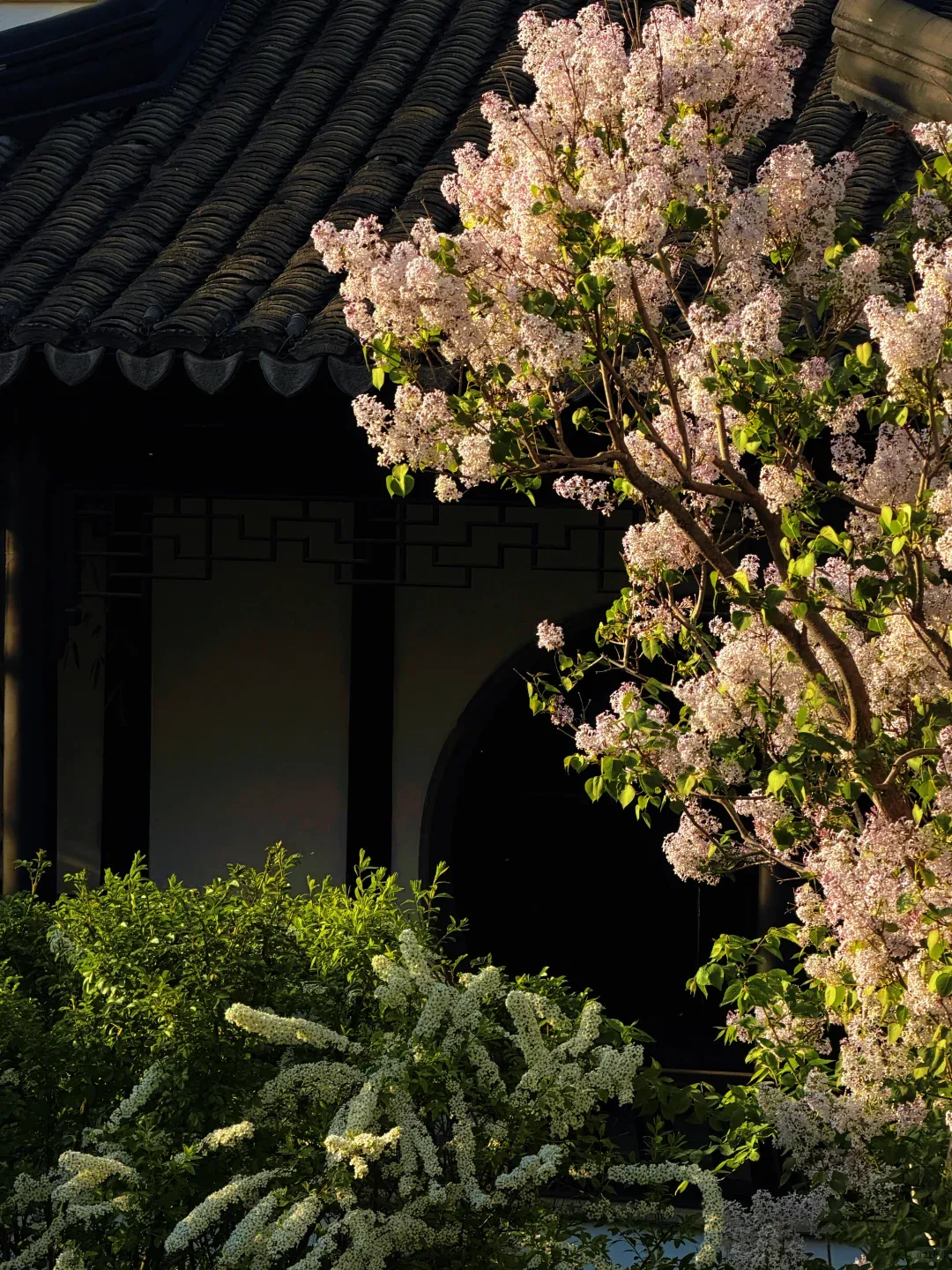 中考倒计时34天!从二模看清化学风向标,找准定位精准提分 第20张